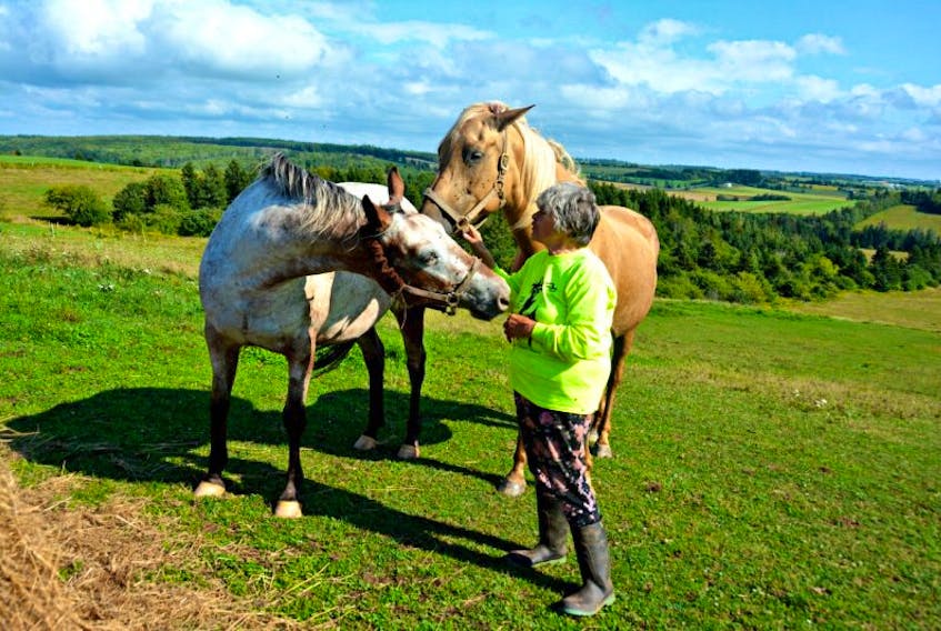 Yogi Fell with her two rescue horses in their forever home of Handibear Hills Horse Sanctuary, located in Breadalbane, P.E.I.