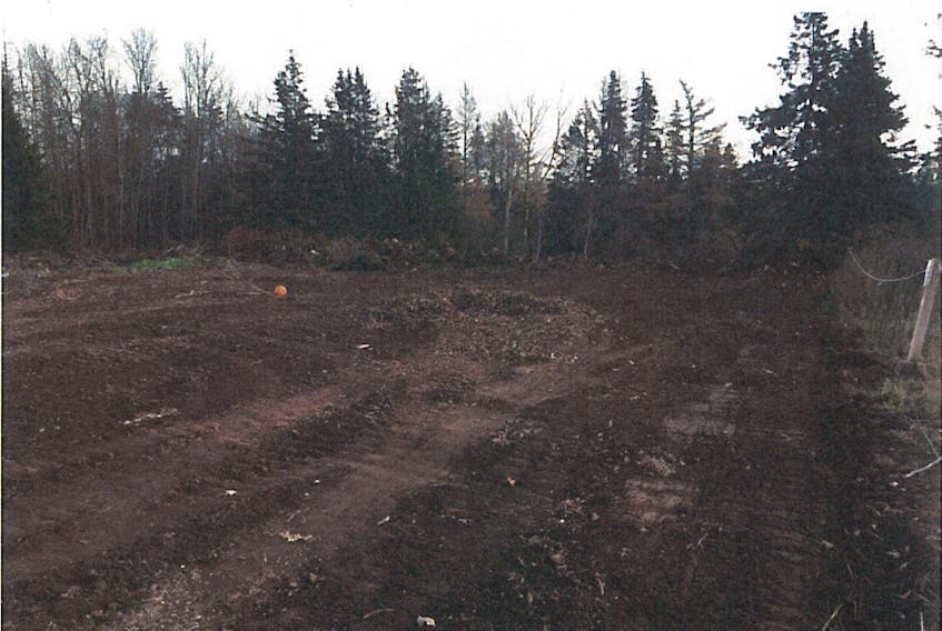 Image of the Town of Kensington’s unofficial lawn waste dump. The community is considering whether to continue to keep the site open for use.