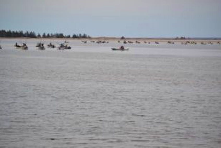 ['Oyster dories form a large cluster on the Kildare River Monday morning, the first day of Prince Edward Island’s spring fishery.']