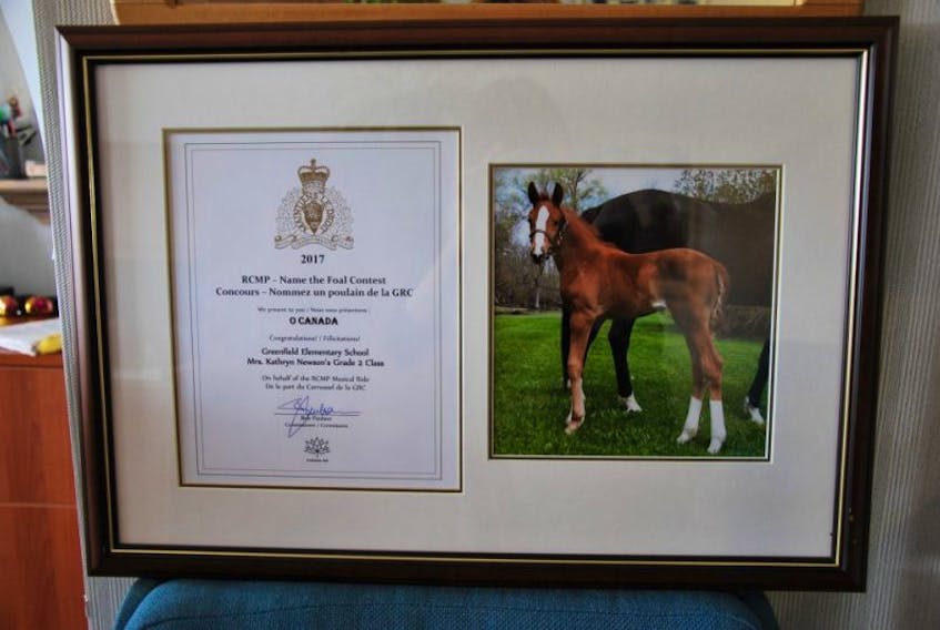 A plaque given to Kathryn Newson’s Greenfield Elementary Grade 2 class to commemorate their win in the 2017 Name the RCMP Foal contest.