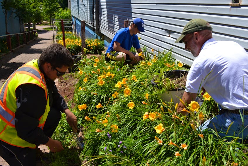 Town of Alberton employees, from left, Tyson Gavin, Elon Wilkie and Garth Davey, tend a flowerbed in an alley connecting Main Street to the town’s rear parking lot. Preparations are in full swing for Monday’s arrival of Communities in Bloom judges.