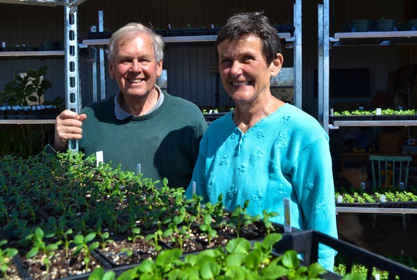 Kees and Sabina Kennema will throw open the doors to their new Bluesky Farms nursery on May 26. The nursery is only a fraction of the size of the blooming centre they owned in Ontario prior to retiring to P.E.I.