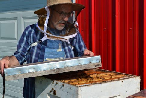 Kenneth Peters of O’Leary experienced devastating beehive losses this year. When Peters opened his hives in the spring, he discovered that 90 per cent of his bees died over the winter. Peters, who is the owner of Ken’s Honey Bee Farm, feels the erratic weather is the main reason for his losses.
