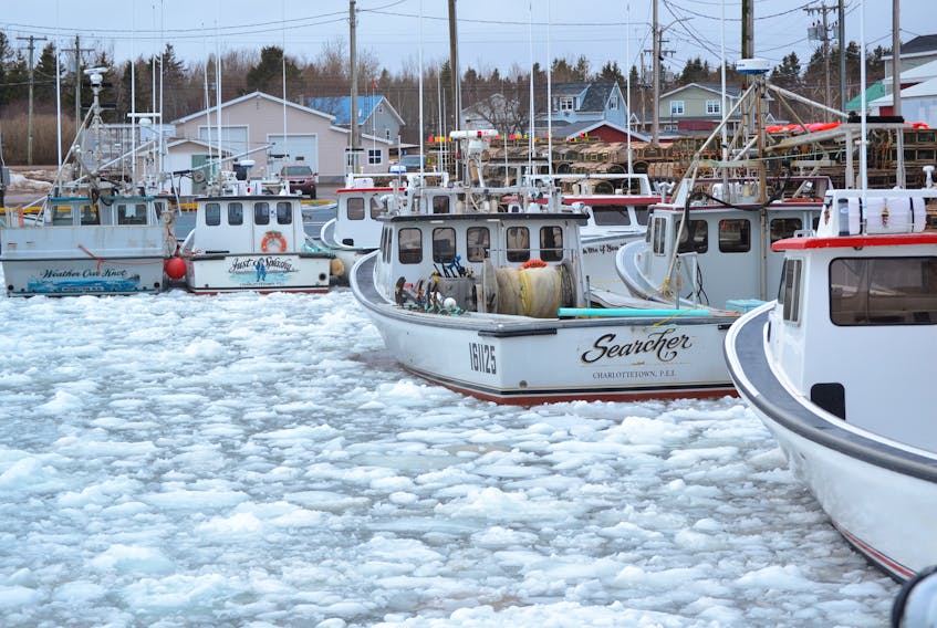 It was clear sailing at Northport Wharf in Alberton Harbour for the past week, but ice returned Tuesday night, filling the boat pond. Fishermen, however, were unconcerned, convinced the ice would move off with the next tide.