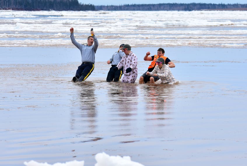 Al Vincent, from the left, Jerrie MacLeod, Paul Phillips, Gerald Arsenault and Janet Bradshaw plunge through the freezing water at Green's Shore Park in Summerside.
