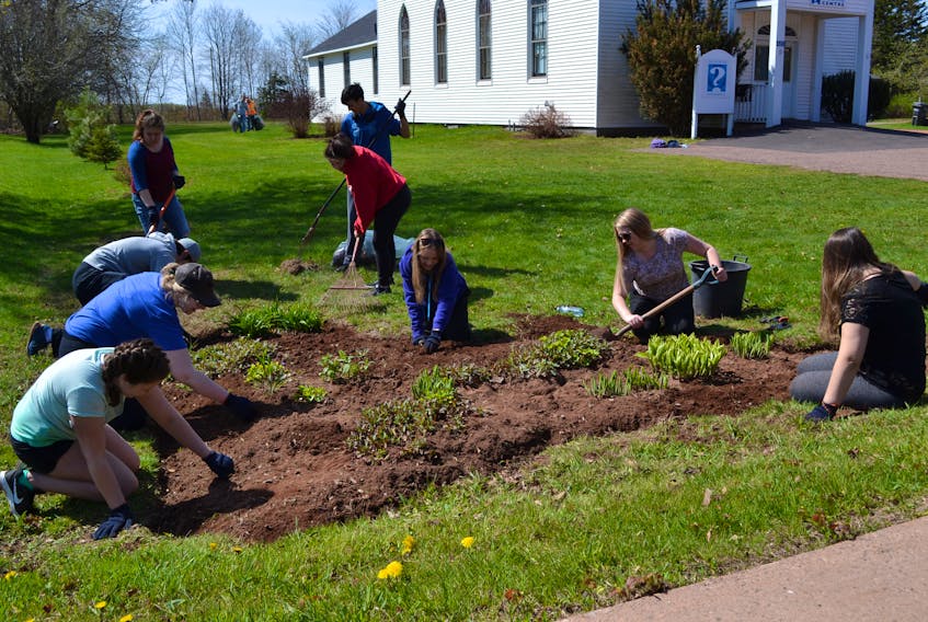 Making sure weeds don’t stand a chance in this flowerbed at the Alberton Arts and Heritage Centre are from front left, Maria Lynch, Kylee Doucette, Ben Smallman, Alex DesRoche, Raelene Gallant, Tyscen Acorn, Haley Gallant, Nicole Smith and Jessica Gillis. Also in the Holland College Alberton Centre’s Transitions Group is Chris Howeth.