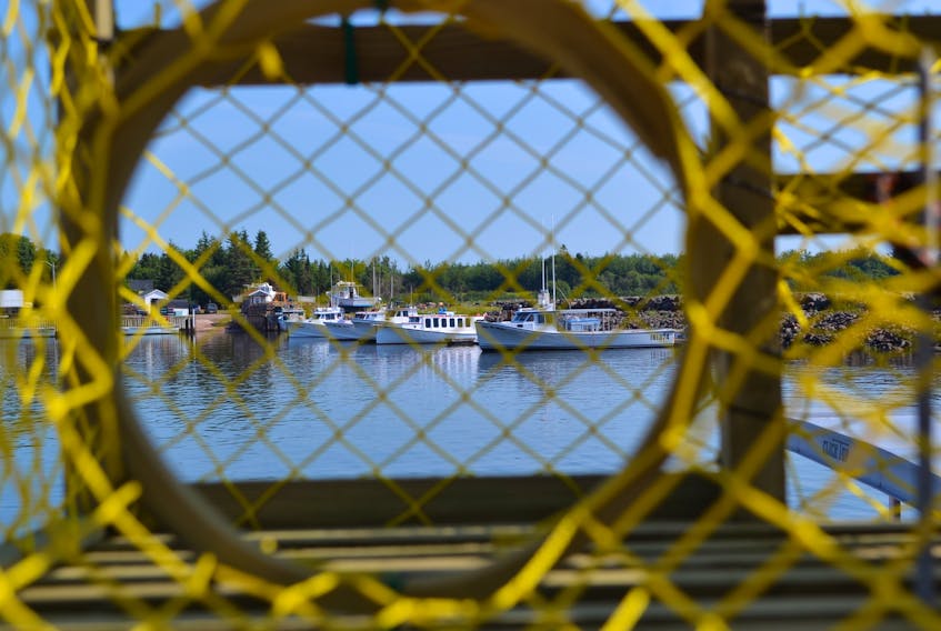 Fishing boats and pleasure craft seen through the hoop and mesh of a lobster trap on the West Point wharf on Monday. Prince Edward Island's fall lobster fishermen expect to set their gear on Thursday.