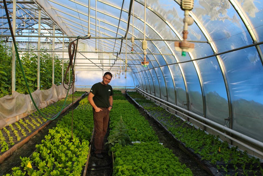 Marc Schurman stands behind the quality of his lettuce.  The greens are grown in a special section of his certified organic greenhouses and are irrigated with well water.