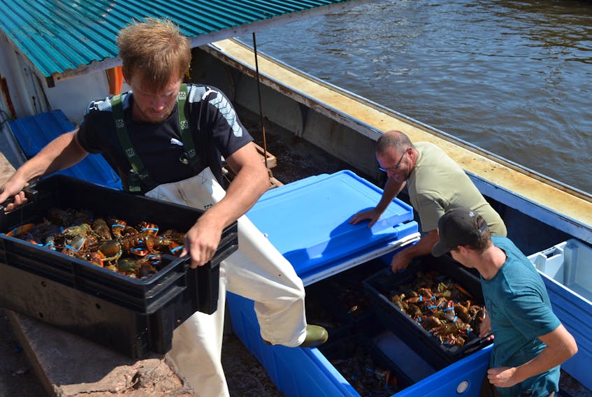 Ryan Costain, crewmember of the Miminegash Maiden, lifts a pan of just-caught lobsters onto the dock at Miminegash.