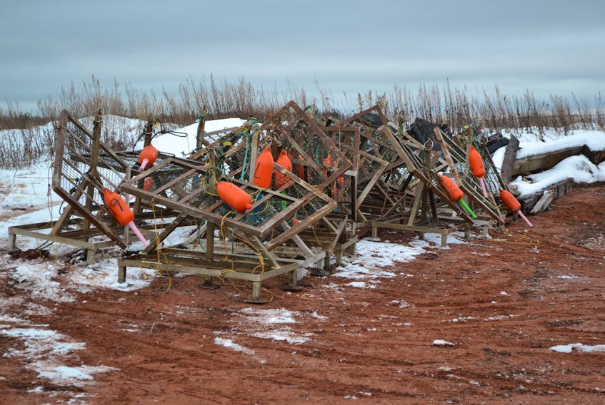 Aquaculture infrastructure is piled at Gordon’s Wharf in Cascumpec to await removal while fishermen race against time in freezing temperatures to get their shellfish leases ready for a winter that came too early.