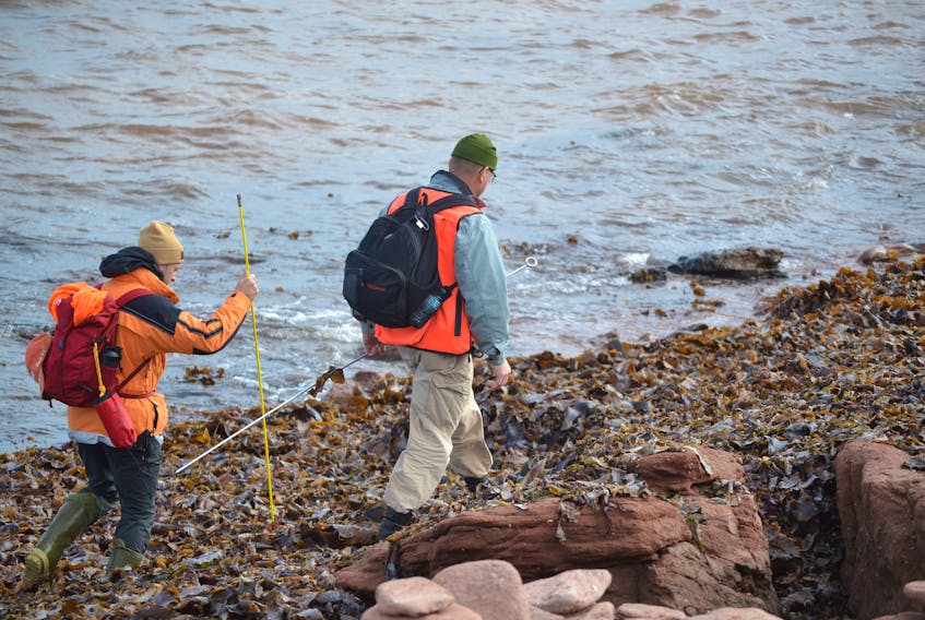 Searchers walk the rugged shoreline at North Cape on Thursday, looking for two fishermen who have been missing since their fishing vessel sank on Tuesday.