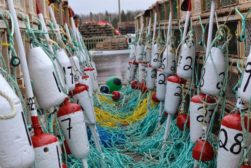 Traps, ropes and buoys provide a fitting frame for a lobster boat at Milligan’s Wharf on Sunday.  The gear is all destined for the waters of Lobster Fishing Area 24.