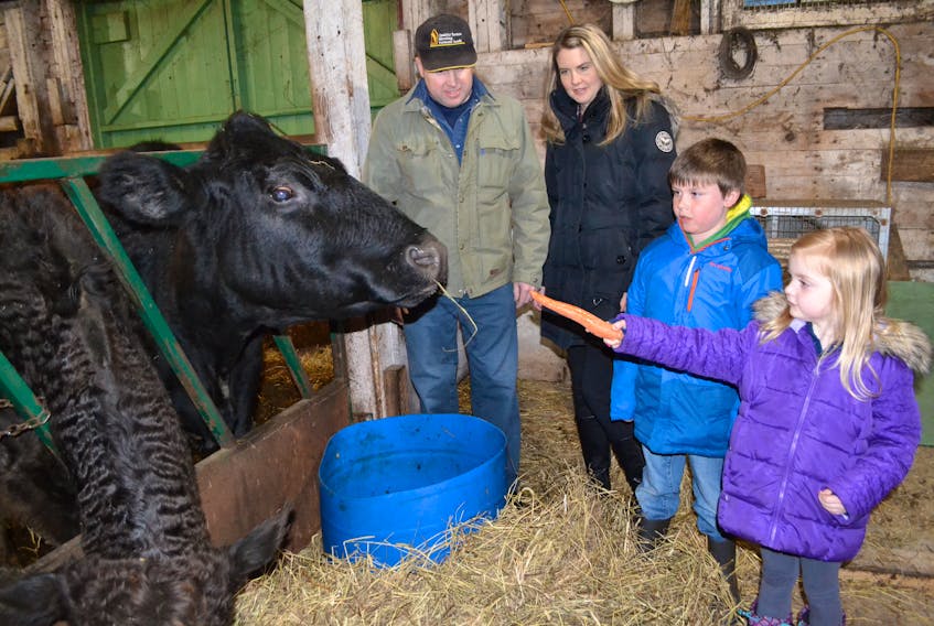 Justin and Laura Rogers look on as their children, Luke and Mary, take turns feeding carrots to the “pet” of their beef herd, Angie.
