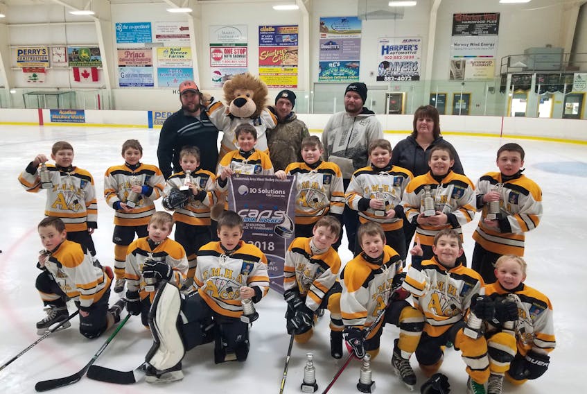 The Tignish Aces recently won the IO Solutions novice A hockey tournament at Credit Union Place in Summerside. Team members are, front row, from left: Brayden Arsenault, Donovan Gallant, Austin Gavin, Ted Harper, Clay Handrahan, Nash Richard and Harrison Delaney. Middle row: Benson Silliker, Ryder Perry, Bentley Ellsworth, Henry Patterson, Waylon Doucette, Lance Bernard, Parker Gaudet and Brock Arsenault. Back row: Coaches Mitch Doucette, Chris Handrahan, Colin Brewer and Tina Richard.