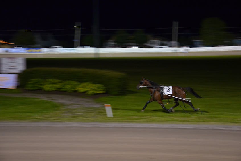 Burn Out Hanover runs around the track after getting clear of his sulky and unseating driver Gilles Barrieau during pre-race introductions for the 51st running of the Governor’s Plate at Red Shores at Summerside Raceway on Saturday night.