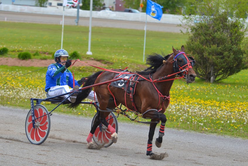 Cartoon Daddy, driven by Corey MacPherson, won the featured race at Red Shores at Summerside Raceway on Sunday afternoon. Cartoon Daddy claimed the$2,350 event in 1:56.3.