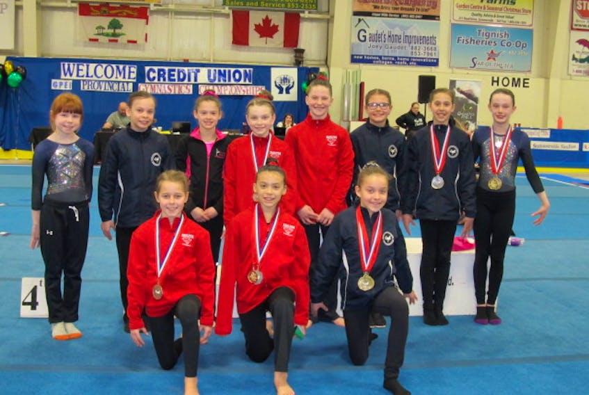 Isla Shea, front row from left, Clara Arsenault and Solen Arsenault are the Junior Olympic Argo 6 gymnasts from the provincial championships in Tignish who will be advancing to the Atlantic championships in Summerside on April 20 and 21. Advancing from the Tyro 6 competition are, back row from left, Ava MacNeill, Madeleine Pigeon, Ciara Chaisson, Lauryn Monkley, Summer McKenna, Ella Drake, Annika Trivers, Molly McKenna.