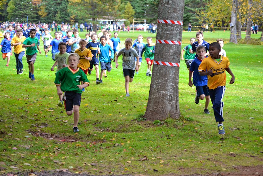 A mass start in last year’s Zone 1 pre-novice boys’ race at Mill River. The Mill River park and campground will play host to the 2018 P.E.I. School Athletic Association provincial cross-country championships on Saturday for runners in the pre-novice to Intermediate age categories. The first race starts at 10 a.m.