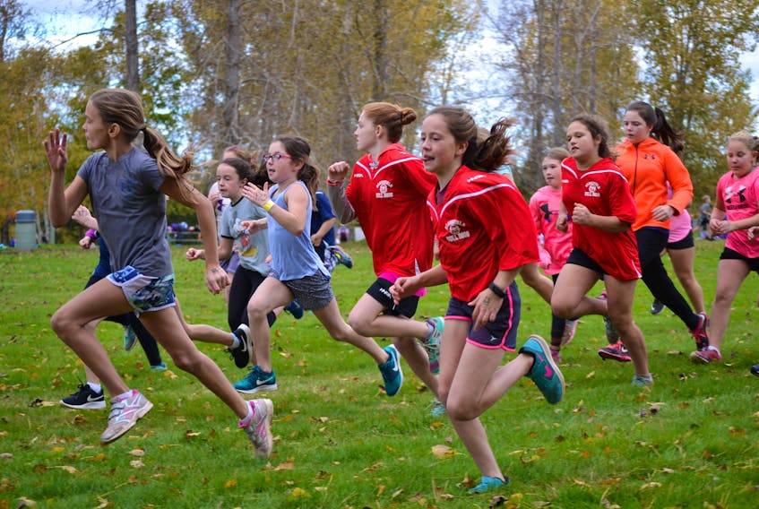 Novice girls sprint away from the start line during the recent Zone One cross-country championships at Mill River Provincial Park. The same Mill River courses will be utilized for the provincial championship for pre-novice-to-intermediate-aged runners this Saturday.