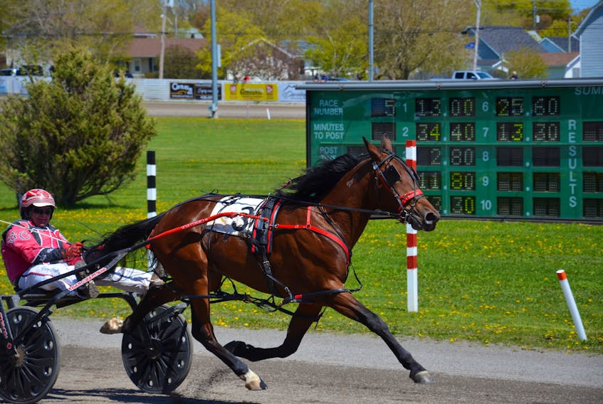 It was a special victory for Gary Chappell at Red Shores at Summerside Raceway on Sunday afternoon. Chappell steered Tobins Terror to a 1:59.3 victory in one of the $6,000 Ruby Chappell Memorial Stake races for three-year-old fillies. The race honours the memory of Chappell’s grandmother.