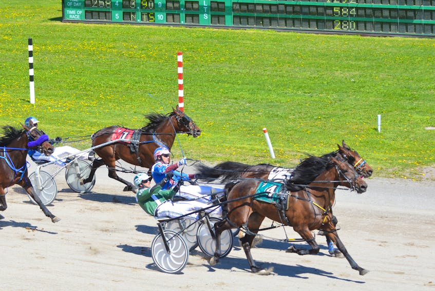 The Marc Campbell-driven Maybeitsmaybelline, 4, edged out Silverhill Misty, driven by Jason Hughes, to win a $6,000 division of the Ruby Chappell Memorial Stakes for three-year-old fillies at Red Shores at Summerside Raceway on Sunday. Corey MacPherson drove Dusty Lane Artiste, 1, to a third-place finish. It was one of four drives on the matinee card for Campbell. Time of the mile was 1:58.3 – a new race-win record.