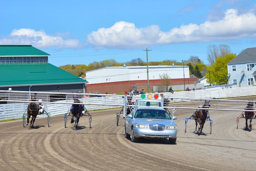The horses line up behind starting gate at Red Shores at Summerside Raceway on Sunday afternoon.