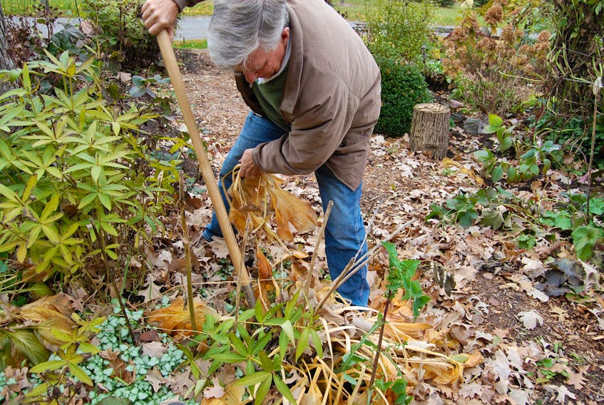 October is a great time to rake leaves off your lawn and onto your garden.