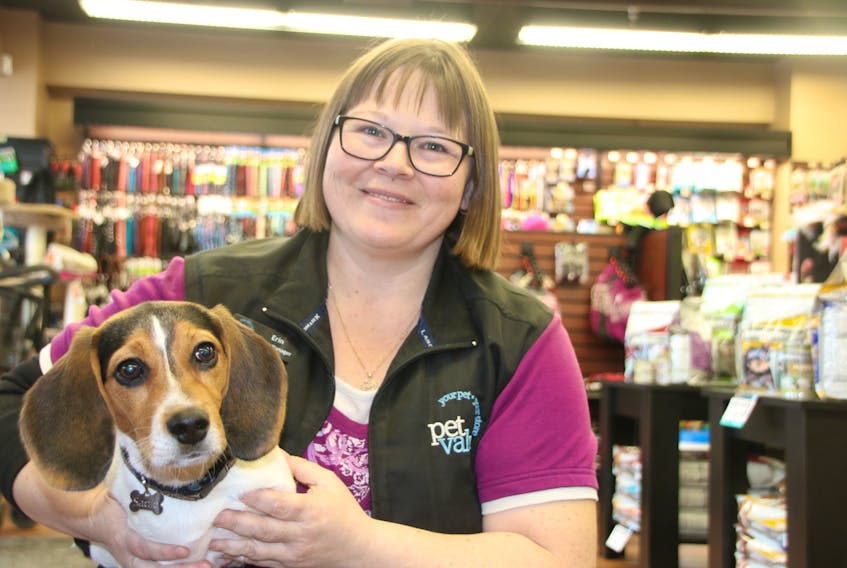 As manager of Truro Pet Valu, Erin Lynch has a lot of four-legged customers coming in to see her including 17-week-old beagle pup Sadie. The store is helping animals who don’t have homes by raising money for Animal Rescue Coalition, in memory of Elsie DeBay.