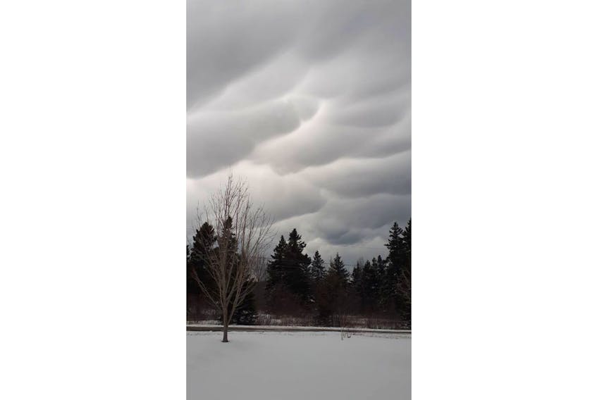 Angela Field Tate spotted these ominous clouds over Grand Manan, N.B., in February. She was not the only one who was impressed by these pouches in the sky.