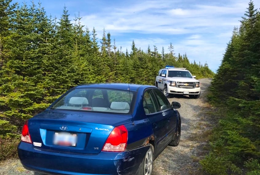 Placentia RCMP located the driver that fled a two-vehicle collision in Dunville in a wooded area off Beaver Pond Road.