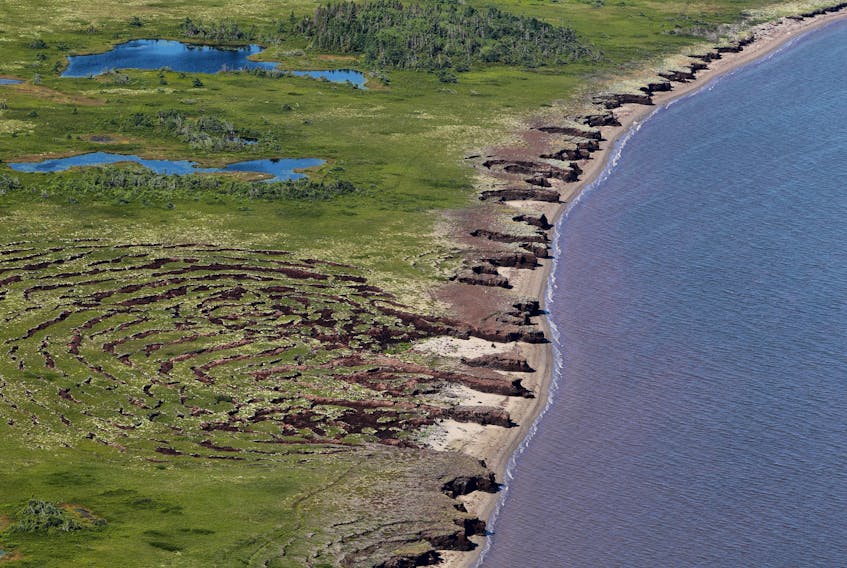 Peat cliffs jut out into the sea at Point Escuminac, N.B., on the Northumberland Strait. (Mike Dembeck / Nature Conservancy of Canada)
