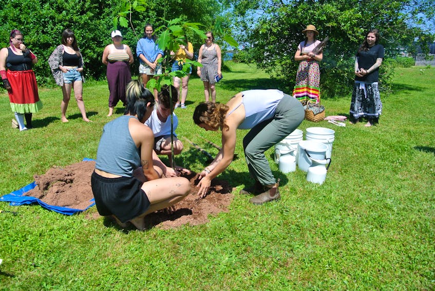 Lianne Ziao (left), chairperson of the Canadian Federation of Students – Nova Scotia, is joined by Louis Sobol and Lily Hannah in planting a red oak in a park across from Thinkers Lodge on July 28 as part of the culmination of a three-day youth climate change retreat hosted by Thinkers Lodge and the Centre for Local Prosperity.