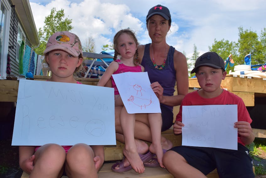 Jill Thompson-Edwards with her three children, Layla 4, Lily, 7 and Dylan 10. The family has issued a $1,000 reward for the return of their missing dog, Reese.