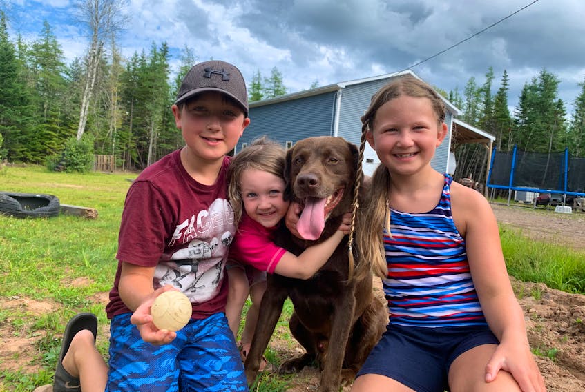 Dylan, Kayla and Lily Edwards were all smiles when their beloved Labrador Reese was returned to them after being stolen and missing for twelve days.