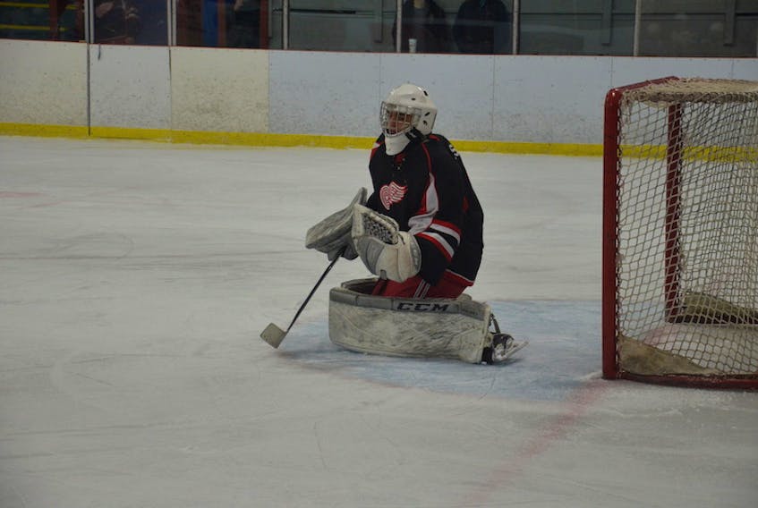Western Red Wings goaltender Stephan Giansante made 37 saves in Friday night’s 2-1 road win over the Kensington Vipers in the Island Junior Hockey League.