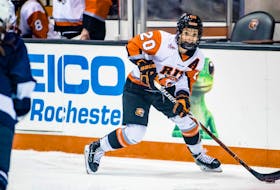 Mallory Rushton, 22, of Brookdale has signed a contract to play with the Metropolitans Riveters of the National Women’s Hockey League. The Rochester Institute of Technology grad is in training preparing for the opening of Riveters’ camp in New Jersey in early September.