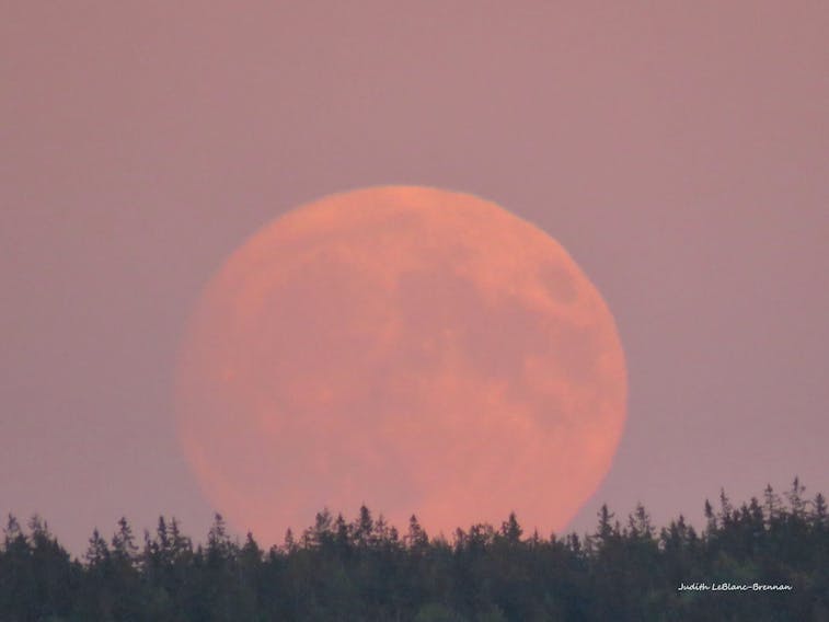The Harvest Moon doesn’t always look like a giant jack-o-lantern in the sky but it did last year. Judy Leblanc-Brennan was at the right place at the right time when she snapped this lovely photo of the Harvest Moon rising over Sydney N.S. on September 24, 2018.