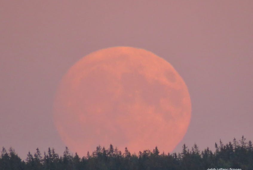 The Harvest Moon doesn’t always look like a giant jack-o-lantern in the sky but it did last year. Judy Leblanc-Brennan was at the right place at the right time when she snapped this lovely photo of the Harvest Moon rising over Sydney N.S. on September 24, 2018.