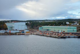 St. John's businessman Paul Antle, owner of Newdock, has signed an agreement in principle with Peter Kiewit and Sons to purchase the old shipyard portion of its operations in Marystown. - Southern Gazette file photo