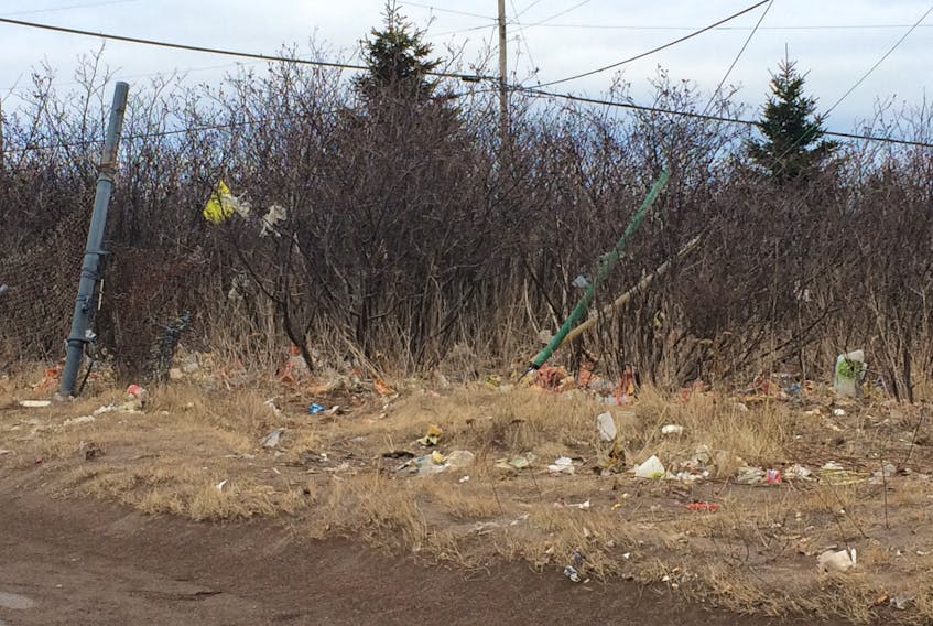 An unsightly amount of litter and trash has built up in an area near Mall Street in Marystown. - Paul Herridge