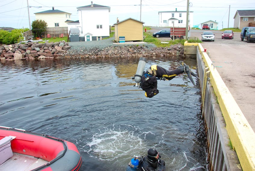 Tim Ball takes the plunge into the water from the wharf in Garnish.