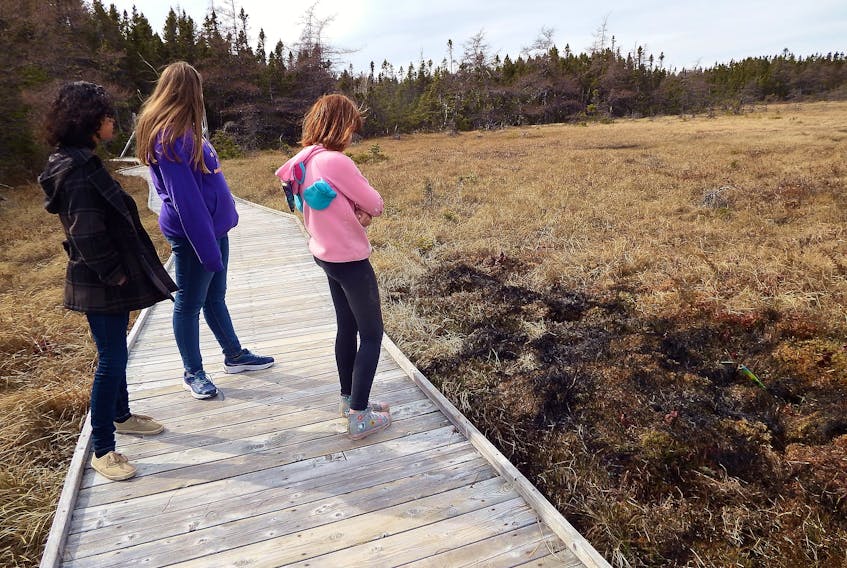 Boyd Holloway of Marystown was visiting the Winterland EcoMuseum with his granddaughter and some of her friends on Saturday, May 4 when he and another unidentified man had to stomp out a fire caused by some youth who were setting off fireworks.