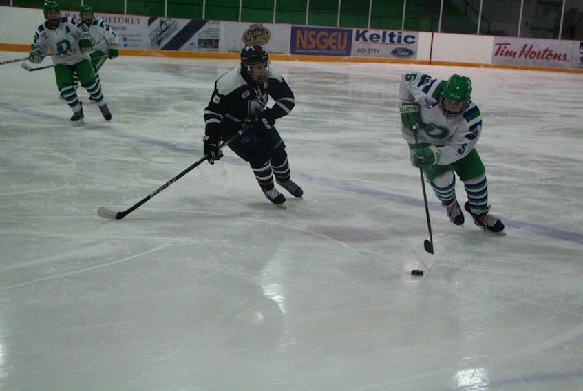 Novas Forward Ryan Digout, pursuing the puck during a game against the Dartmouth Whalers on Jan. 19.