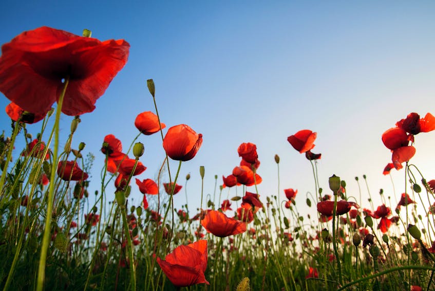 There are many ways to commemorate Remembrance Day.