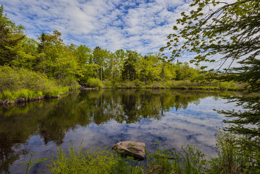 Sackville River-Lewis Lake Wilderness Park was promised for protection by the Nova Scotia government in 2013, but it still has not received a legal designation. - Irwin Barrett
