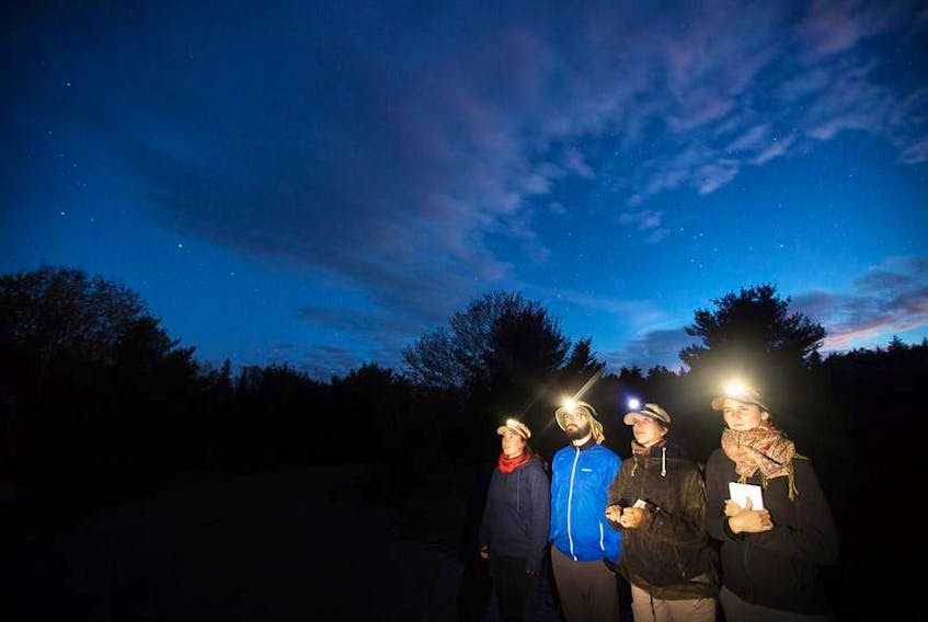 (Left to right) Magalie Bouhéret, Alex Chéné, Dominique Lussier and Léonie Rouleau take part in a bat survey as part of the bat monitoring project being conducted by the Mersey Tobeatic Research Institute in Caledonia in 2017. The student volunteers were from Quebec on placement through CEGEP, a general and vocational college, to partake in the survey.