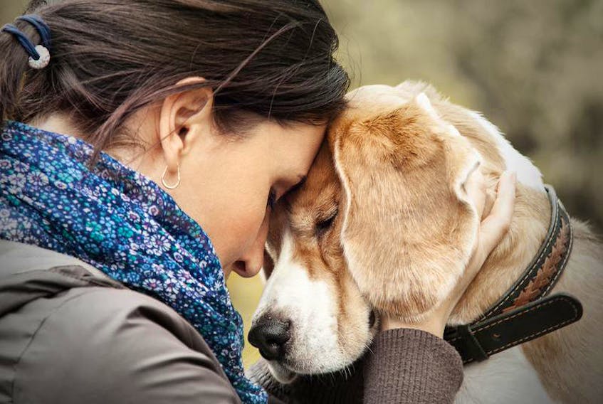 There are many reasons why people have to surrender their pets to animal shelters.