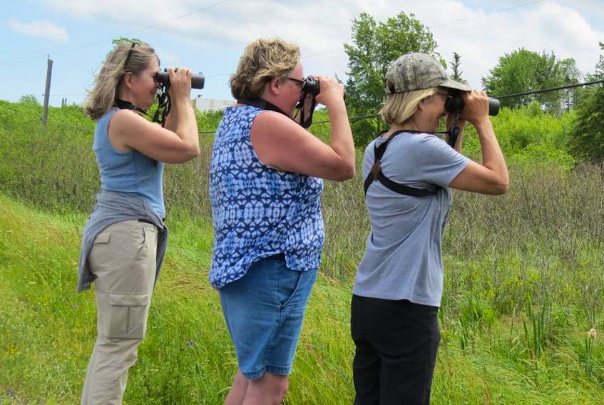 Birders: Birders Sylvia Craig (left), Ruth Carlier and Barbara Haley spotted roughly 45 species of birds in rural HRM on Friday, July 6.