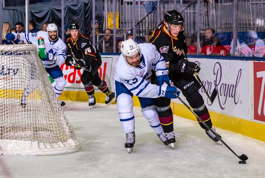 Zach O’Brien (23) got into two AHL games against the Cleveland Monsters with the Toronto Marlies last weekend, but will need to play three more regular-season contests with the Marlies in order to be eligible to appear in any ECHL playoff games with the Newfoundland Growlers in 2020. — Toronto Marlies photo