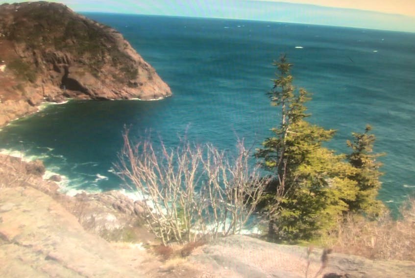 An image captured from a video taken by RNC investigators of the area of Signal Hill where a MUN student is alleged to have attempted to kill his friend in April 2017.